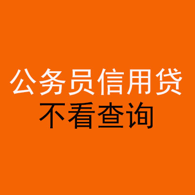 略阳公务员信用贷款